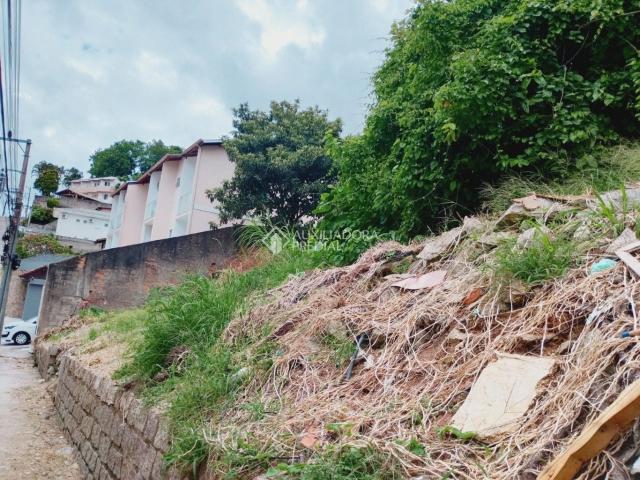 Terreno / Lote para Venda em Florianópolis/SC Carvoeira