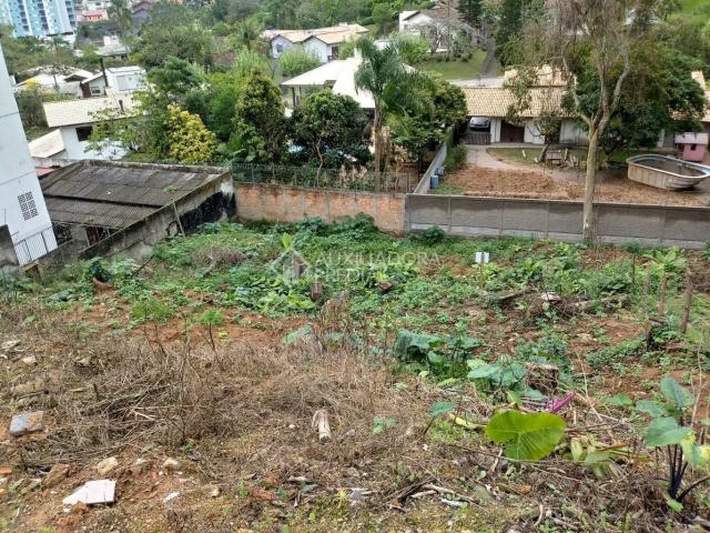 Terreno / Lote para Venda em Florianópolis/SC Carvoeira