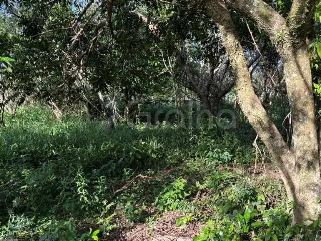 Terreno / Lote para Venda em Florianópolis/SC Açores