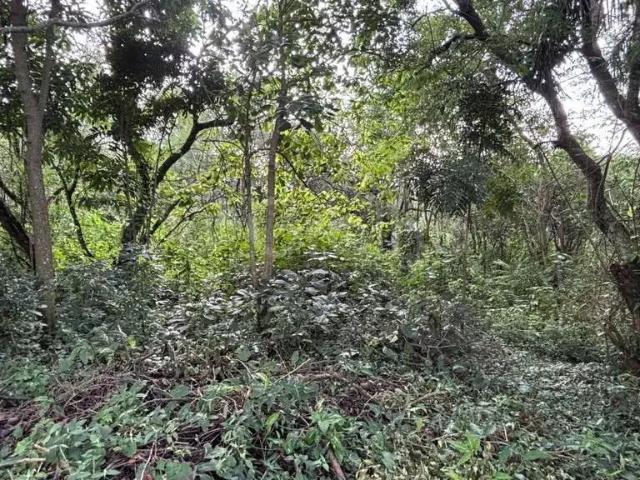 Terreno / Lote para Venda em Florianópolis/SC Açores