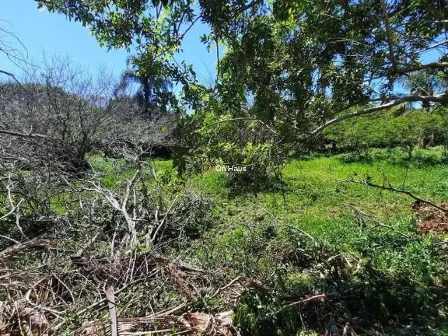 Terreno / Lote para Venda em Florianópolis/SC Açores