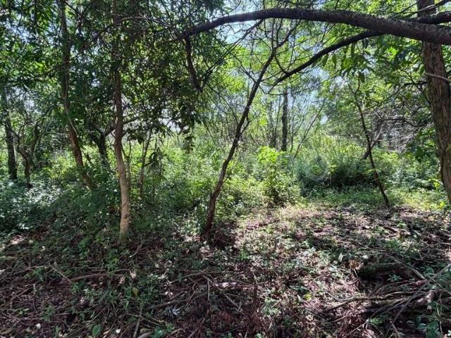 Terreno / Lote para Venda em Florianópolis/SC Açores