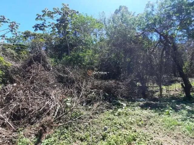 Terreno / Lote para Venda em Florianópolis/SC Açores