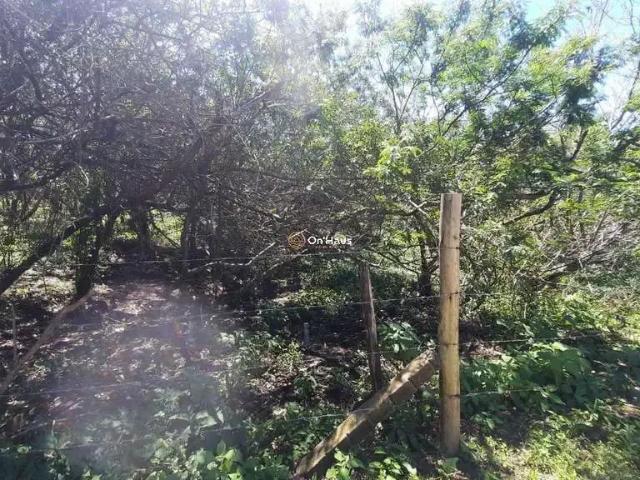 Terreno / Lote para Venda em Florianópolis/SC Açores