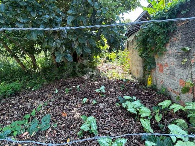 Terreno / Lote para Venda em Florianópolis/SC Açores