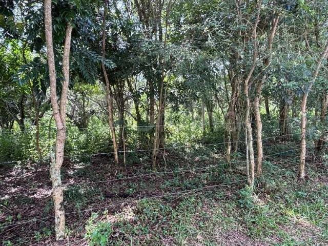 Terreno / Lote para Venda em Florianópolis/SC Açores