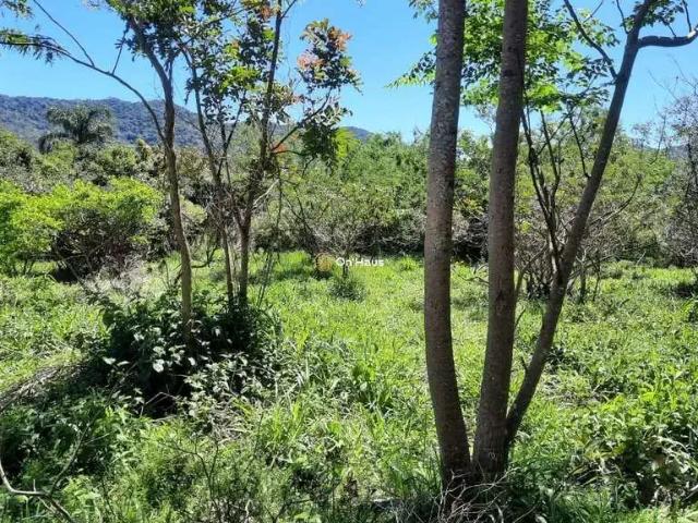 Terreno / Lote para Venda em Florianópolis/SC Açores