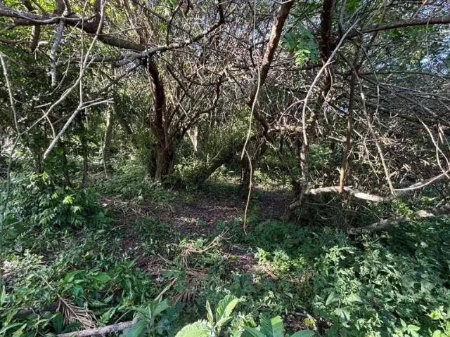 Terreno / Lote para Venda em Florianópolis/SC Açores