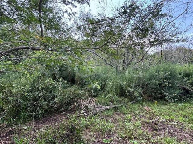Terreno / Lote para Venda em Florianópolis/SC Açores