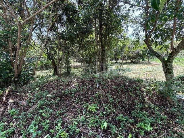 Terreno / Lote para Venda em Florianópolis/SC Açores