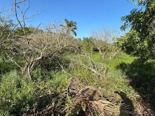 Terreno / Lote para Venda em Florianópolis/SC Açores