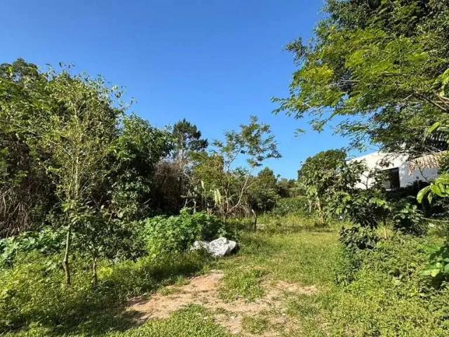 Terreno / Lote para Venda em Florianópolis/SC Açores