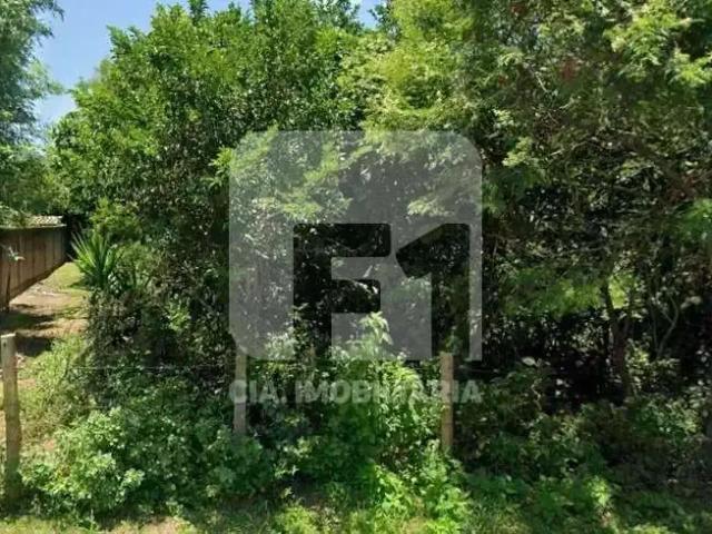Terreno / Lote para Venda em Florianópolis/SC Açores