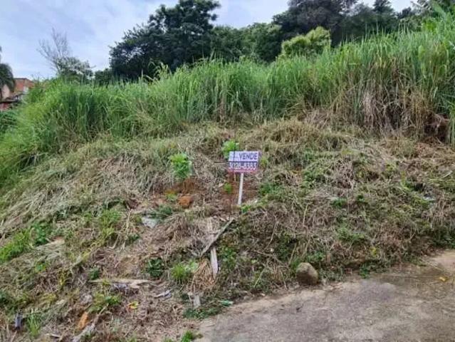 Terreno / Lote para Venda em Florianópolis/SC Agronômica