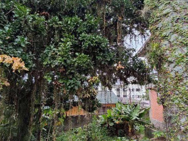 Terreno / Lote para Venda em Florianópolis/SC Agronômica
