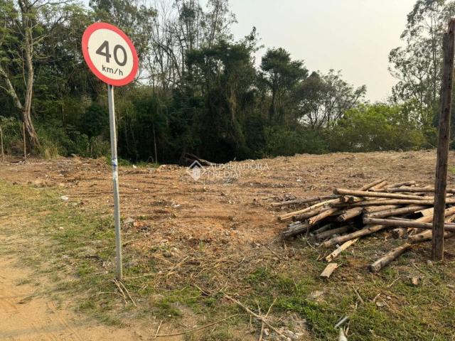 Terreno / Lote para Venda em Florianópolis/SC Agronômica