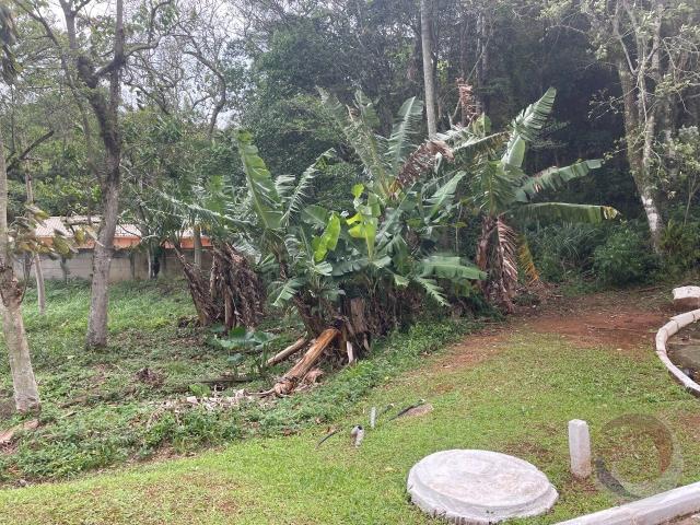 Terreno / Lote para Venda em Florianópolis/SC Armação do Pântano do Sul
