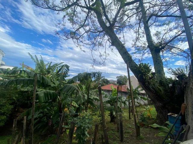 Terreno / Lote para Venda em Florianópolis/SC Bom Abrigo