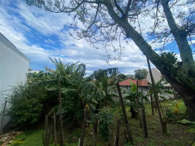 Terreno / Lote para Venda em Florianópolis/SC Bom Abrigo