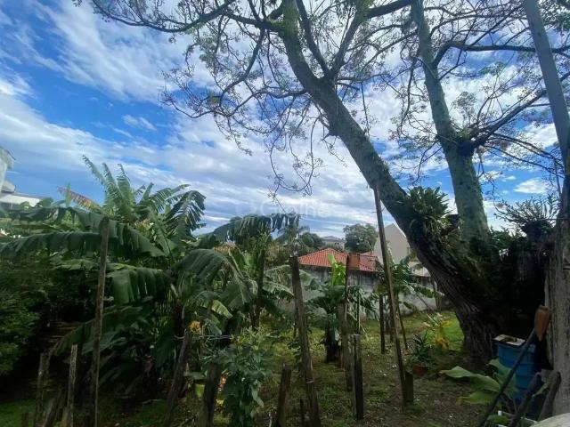 Terreno / Lote para Venda em Florianópolis/SC Bom Abrigo