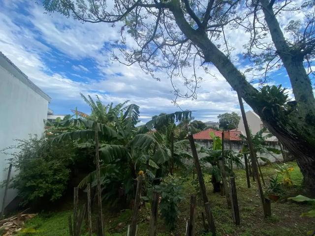 Terreno / Lote para Venda em Florianópolis/SC Bom Abrigo