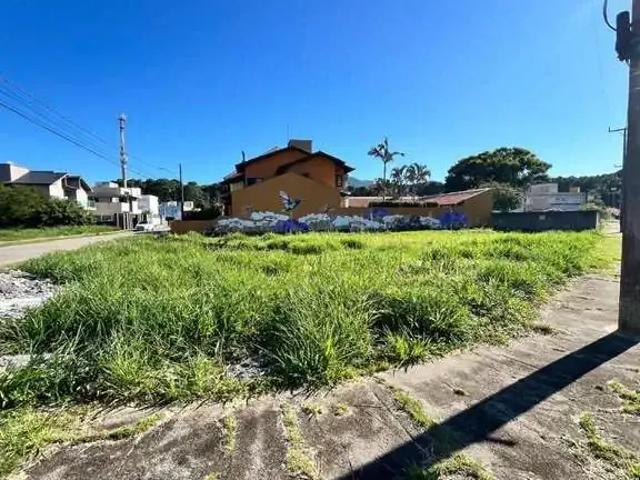Terreno / Lote para Venda em Florianópolis/SC Barra da Lagoa