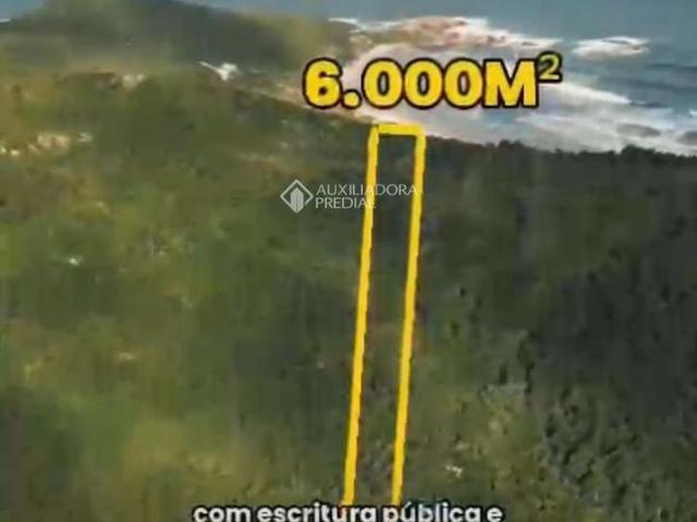 Terreno / Lote para Venda em Florianópolis/SC Barra da Lagoa