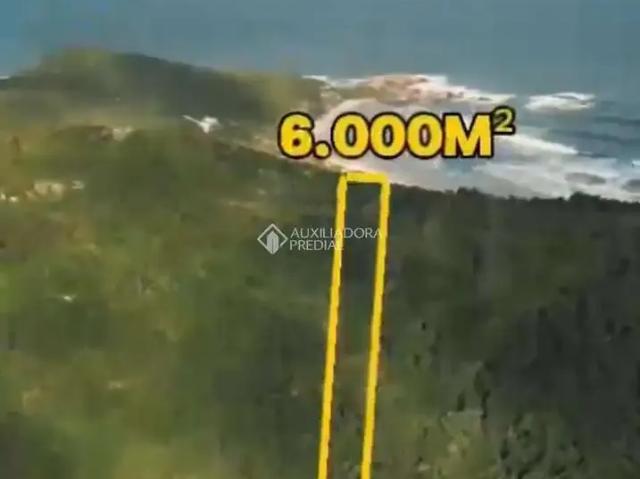 Terreno / Lote para Venda em Florianópolis/SC Barra da Lagoa