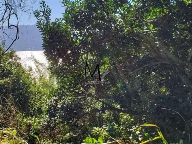 Terreno / Lote para Venda em Florianópolis/SC Barra da Lagoa