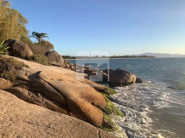 Terreno / Lote para Venda em Florianópolis/SC Daniela