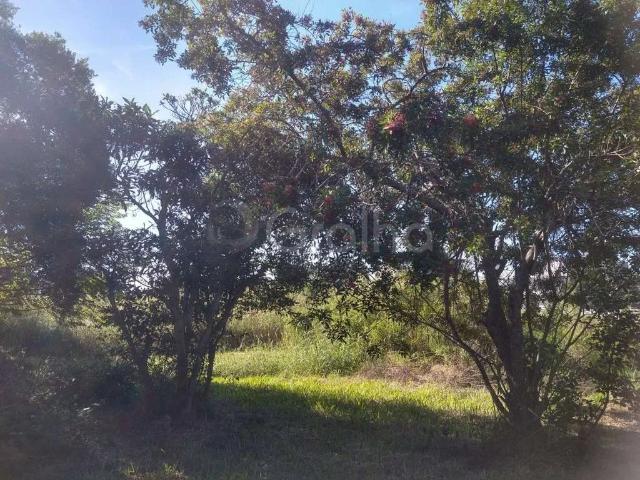 Terreno / Lote para Venda em Florianópolis/SC Ingleses