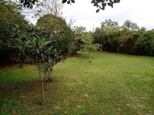 Terreno / Lote para Venda em Florianópolis/SC Ingleses do Rio Vermelho