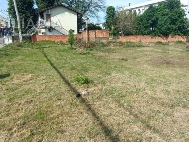 Terreno / Lote para Venda em Florianópolis/SC Ingleses do Rio Vermelho