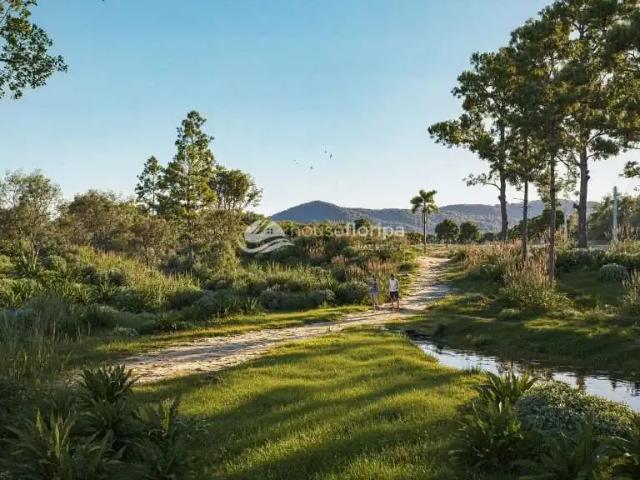 Terreno / Lote para Venda em Florianópolis/SC Ingleses do Rio Vermelho
