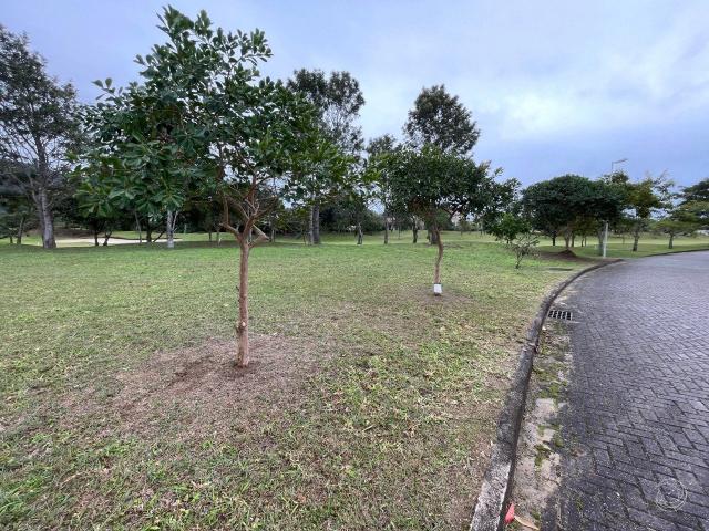 Terreno / Lote para Venda em Florianópolis/SC Ingleses do Rio Vermelho