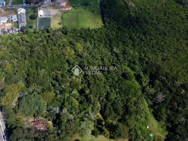 Terreno / Lote para Venda em Florianópolis/SC Ingleses do Rio Vermelho