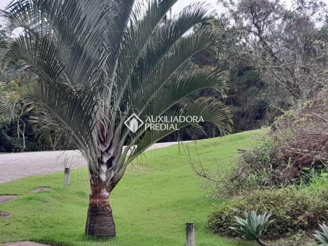 Terreno / Lote para Venda em Florianópolis/SC Itacorubi