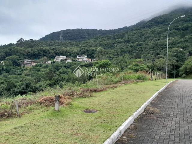 Terreno / Lote para Venda em Florianópolis/SC Itacorubi