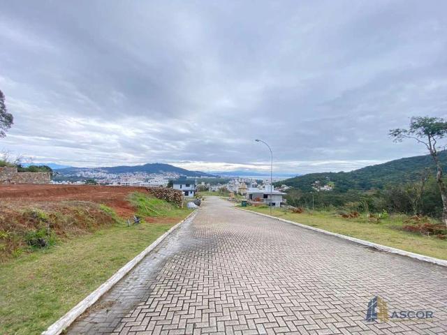 Terreno / Lote para Venda em Florianópolis/SC Itacorubi