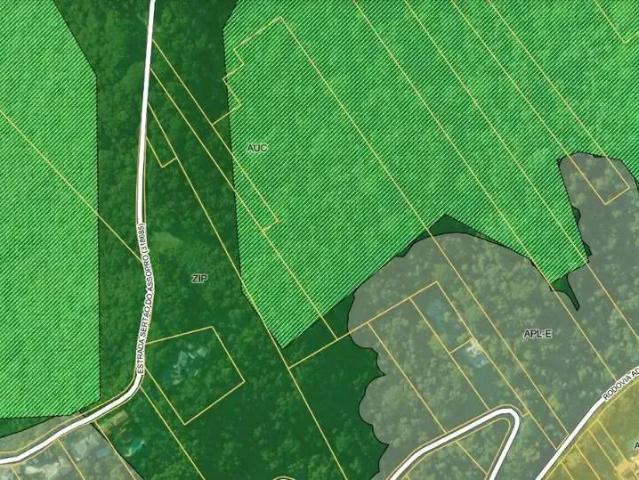 Terreno / Lote para Venda em Florianópolis/SC Itacorubi