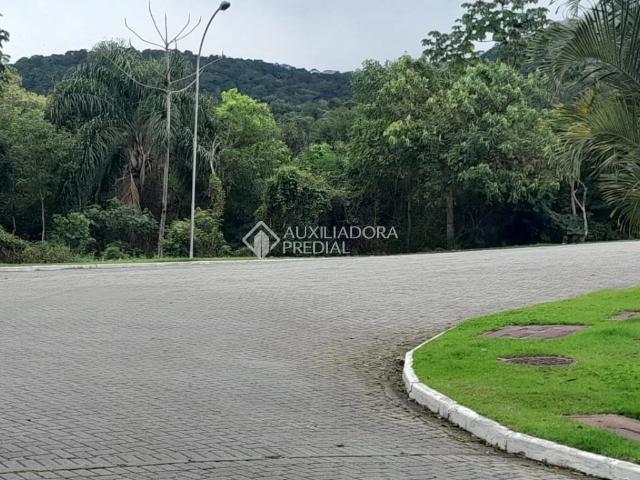 Terreno / Lote para Venda em Florianópolis/SC Itacorubi