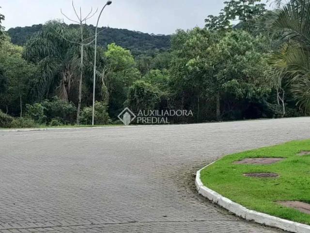 Terreno / Lote para Venda em Florianópolis/SC Itacorubi