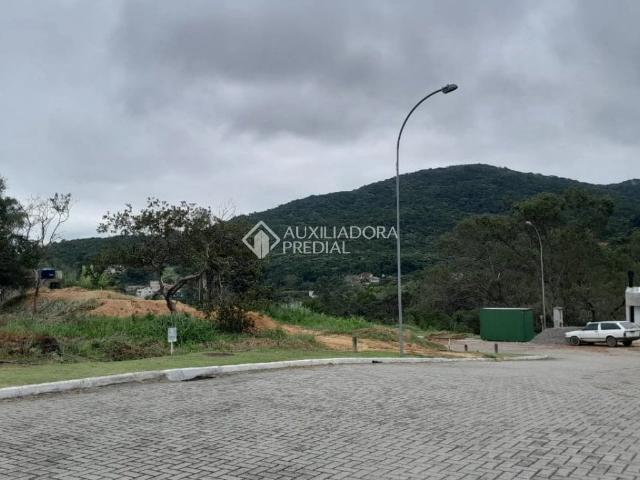 Terreno / Lote para Venda em Florianópolis/SC Itacorubi