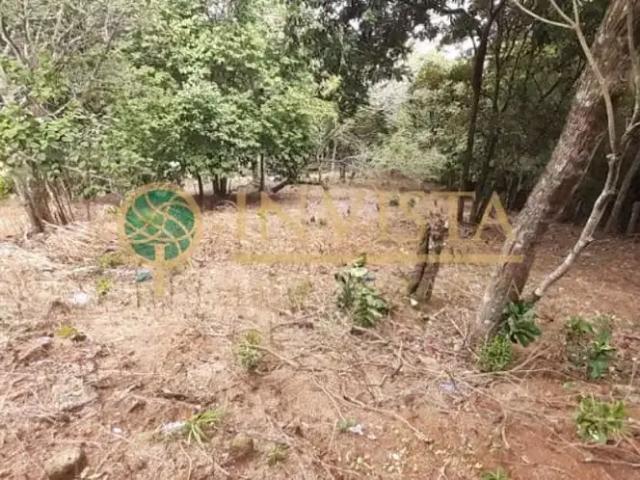 Terreno / Lote para Venda em Florianópolis/SC Itacorubi