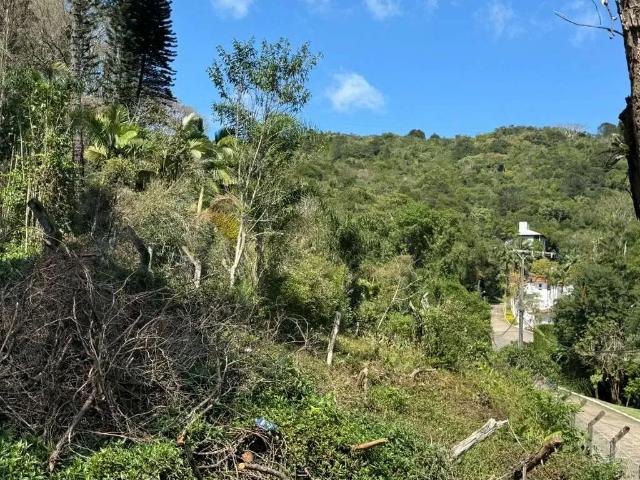 Terreno / Lote para Venda em Florianópolis/SC Itacorubi
