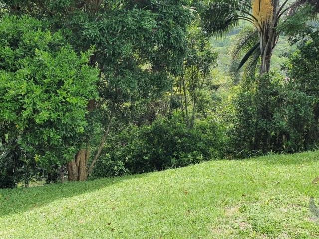 Terreno / Lote para Venda em Florianópolis/SC Itacorubi