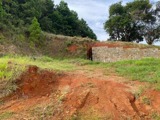 Terreno / Lote para Venda em Florianópolis/SC Itacorubi