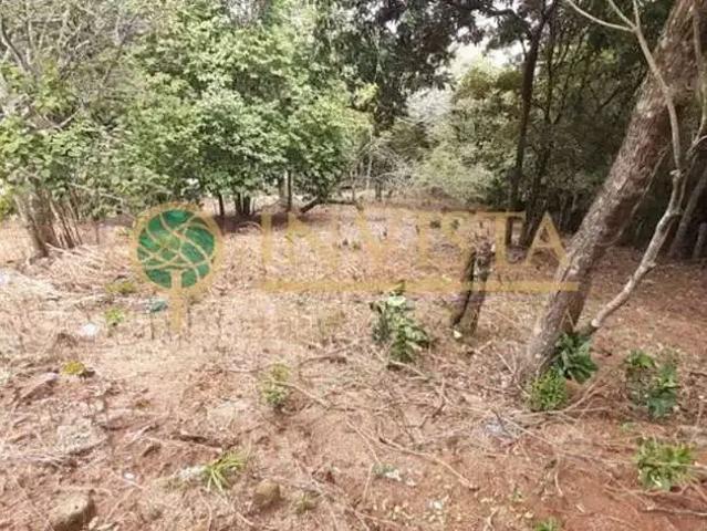 Terreno / Lote para Venda em Florianópolis/SC Itacorubi