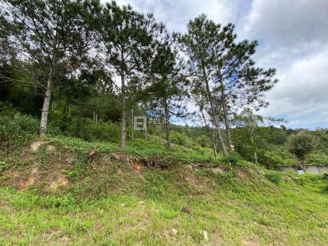 Terreno / Lote para Venda em Florianópolis/SC Itacorubi