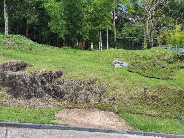 Terreno / Lote para Venda em Florianópolis/SC Itacorubi